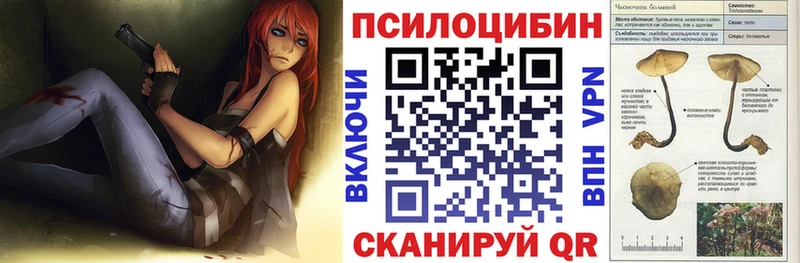 Галлюциногенные грибы Psilocybe  Купить закладки  Кемь 